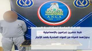 ضبط عنصرين إجراميين بالإسماعيلية بحوزتهما...