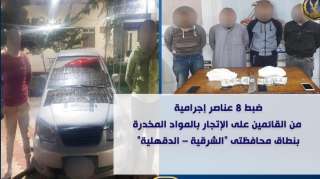 ضبط 8 عناصر إجرامية من...