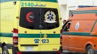 إصابة 7 مواطنين فى حادث...