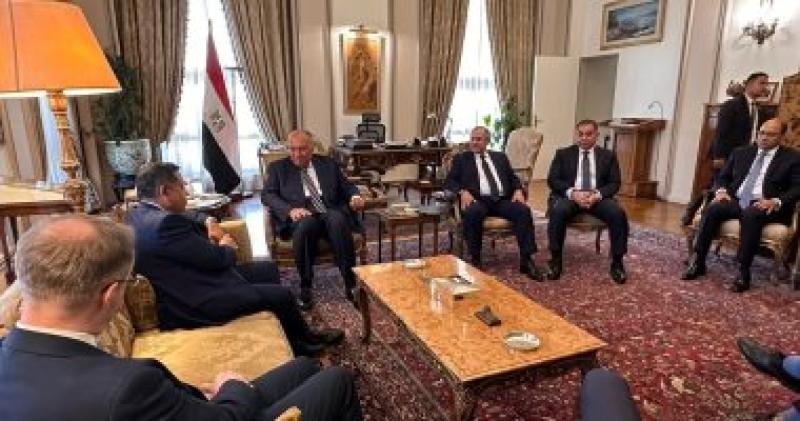 سامح شكري وزير الخارجية