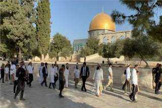 اتصالات فلسطينية مكثفة لوقف العدوان...