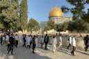 اتصالات فلسطينية مكثفة لوقف العدوان...