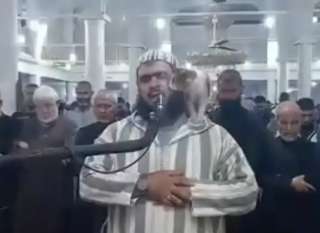 بالفيديو.. قطة تقتحم محراب الإمام...