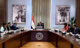 رئيس الوزراء يطمئن على توافر...
