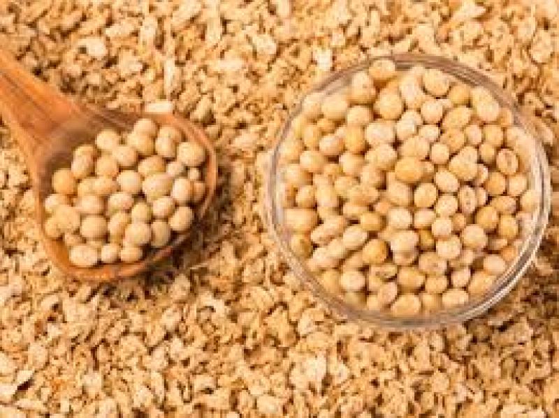 أسعار بذرة الصويا