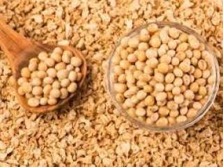 تراجع العقود الآجلة لبذرة الصويا...