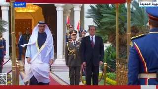 السيسي وبن زايد يبحثان أبرز...