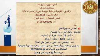 القوى العاملة: فرص عمل للشباب...