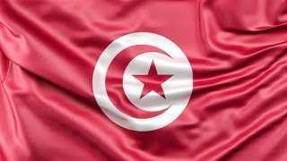 وزير الخارجية التونسي يتابع أوضاع...