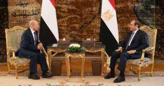 الرئيس السيسى يستقبل رئيس مجلس...