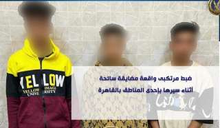 ضبط مرتكبى واقعة مضايقة سائحة...