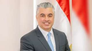 رئيس المنطقة الاقتصادية: هيئة قناة...