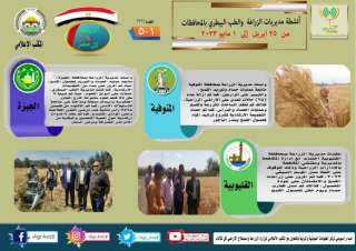 إنفوجراف.. متابعة حصاد وتوريد القمح...