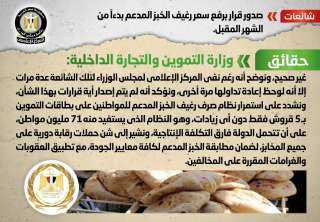 الحكومة تنفى صدور قرار برفع...