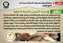 الحكومة تنفى صدور قرار برفع...