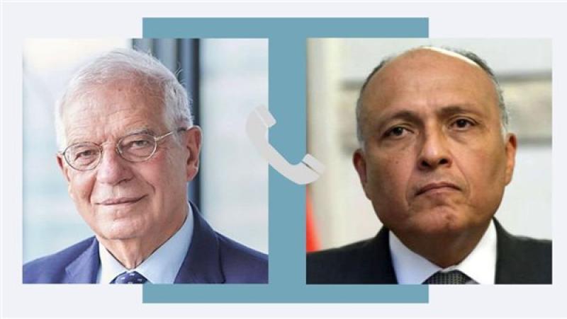 شكري وبوريل
