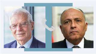 سامح شكرى وجوزيب بوريل يبحثان...