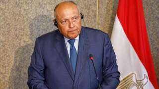 شكرى يدعو إلى الحوار السياسى...