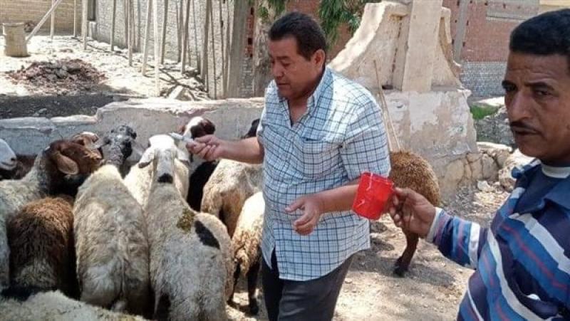 أرشيفية