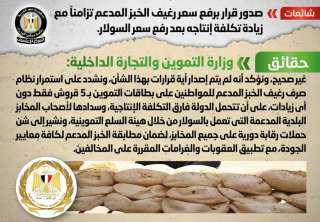 الحكومة تنفى صدور قرار برفع...