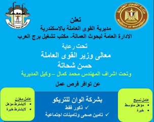 ”القوى العاملة”: فرص عمل ...