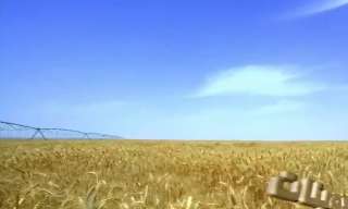 بث مباشر.. الرئيس السيسي يشهد...