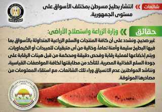 الحكومة تنفى انتشار بطيخ مسرطن...