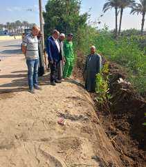 جهود الوحدة المحلية لمركز ومدينة...
