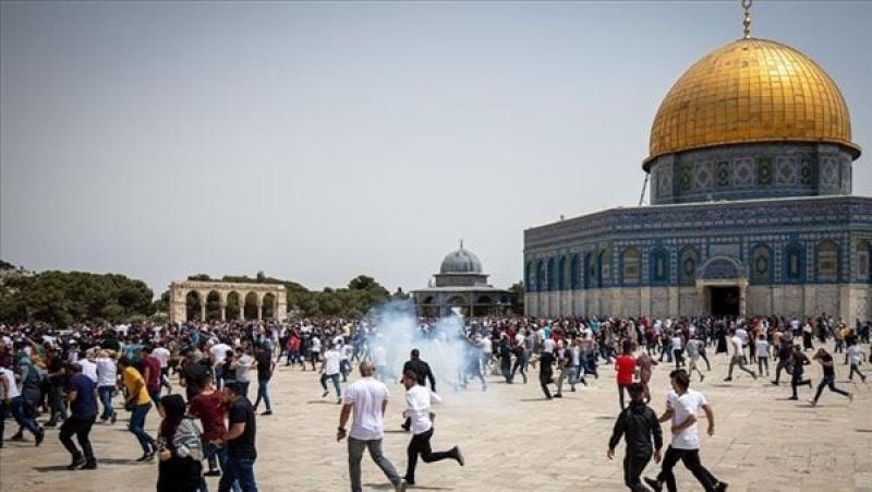 صورة ارشيفية