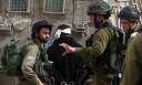 الاحتلال يعتقل 7 فلسطينيين بالضفة...