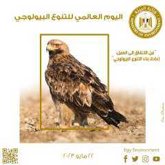 مصر تشارك العالم الاحتفال باليوم...