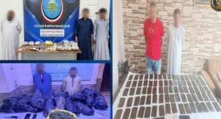 جهود متواصلة لضبط العناصر الإجرامية...