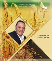 صوامع وشون محافظة الشرقية تفتح...
