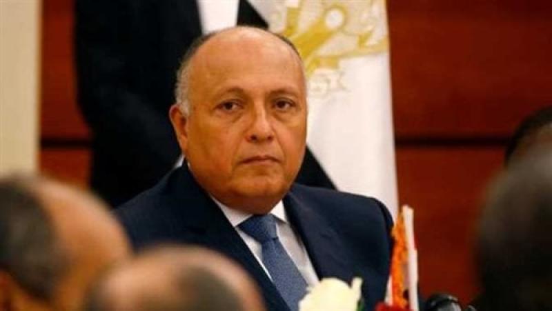 وزير الخارجية سامح شكري