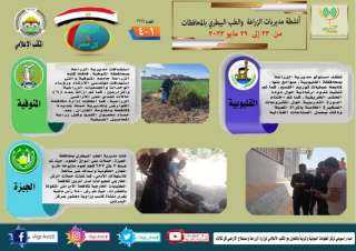 انفوجراف .. تعرف على أنشطة...
