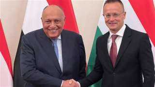 شكري وسيارتو يبحثان تعزيز التعاون...