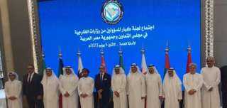 انعقاد اجتماع كبار المسئولين من...
