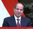 الرئيس السيسي يؤكد أهمية العمل...