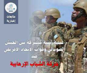 عملية أمنية مشتركة بين الجيش...