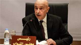 عقيلة صالح: مسودة اللجنة المشتركة...