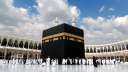 وصول أكثر من ٥٣١ ألف...
