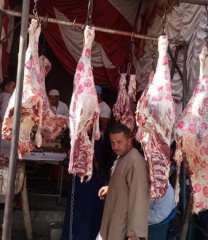 مركز مطاي بالمنيا يواصل طرح...