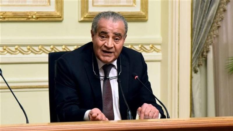 الدكتور على المصيلحى