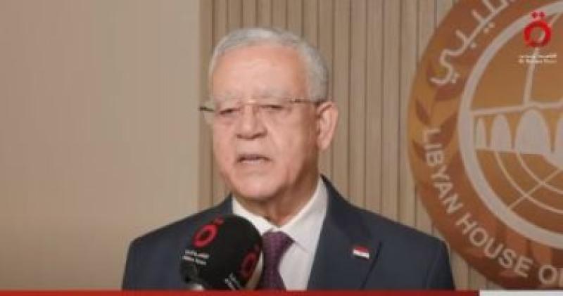 رئيس مجلس النواب المستشار حنفي جبالي