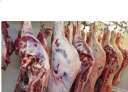 أسعار اللحوم الحمراء فى الأسواق...
