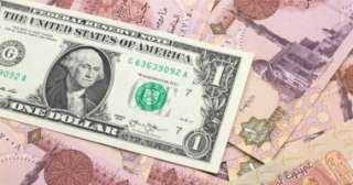 أول أيام عيد الأضحي.. سعر...