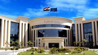 الأجهزة الأمنية بالقاهرة تنجح فى...