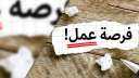 ”العمل” توفر 170 فرصة عمل...
