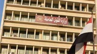 ”العمل”: فتح باب التقديم للتدريب...