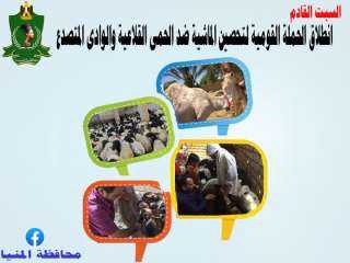 محافظ المنيا : السبت القادم...